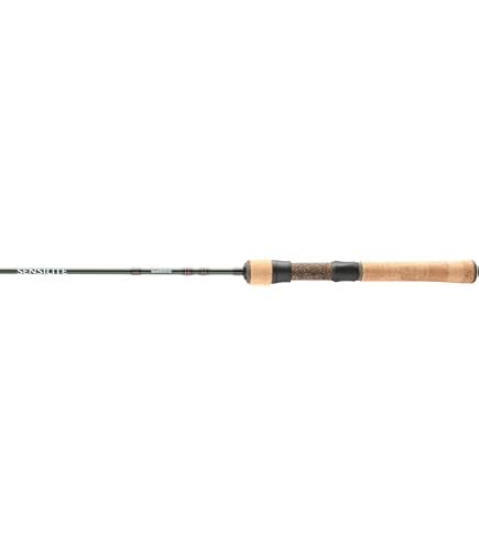Amazon.com : Shimano 21 Nasci 500 : Sports & Outdoors
